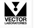 Vector