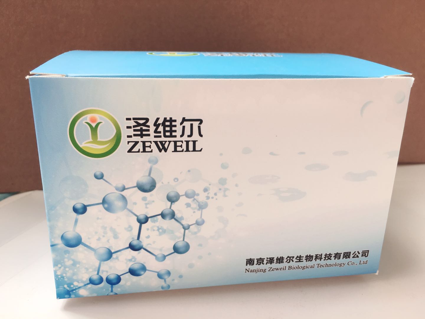 С|(zh)ٵø2/zøAMMP-2/Gelatinase A ELISAԇС|(zh)