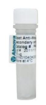 CALB1 monoclonal antibody, clone CB-955 