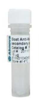 CD62L monoclonal antibody, clone IVA94